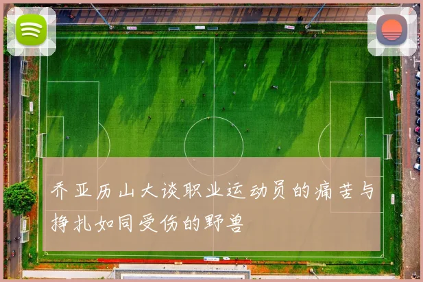 乔亚历山大谈职业运动员的痛苦与挣扎如同受伤的野兽