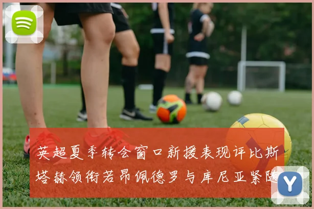 英超夏季转会窗口新援表现评比斯塔赫领衔若昂佩德罗与库尼亚紧随其后